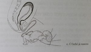 fases parto bebe nasceu