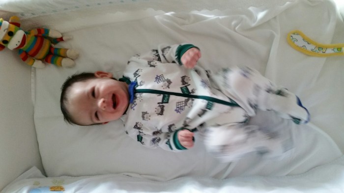 20151025_063717.jpg image