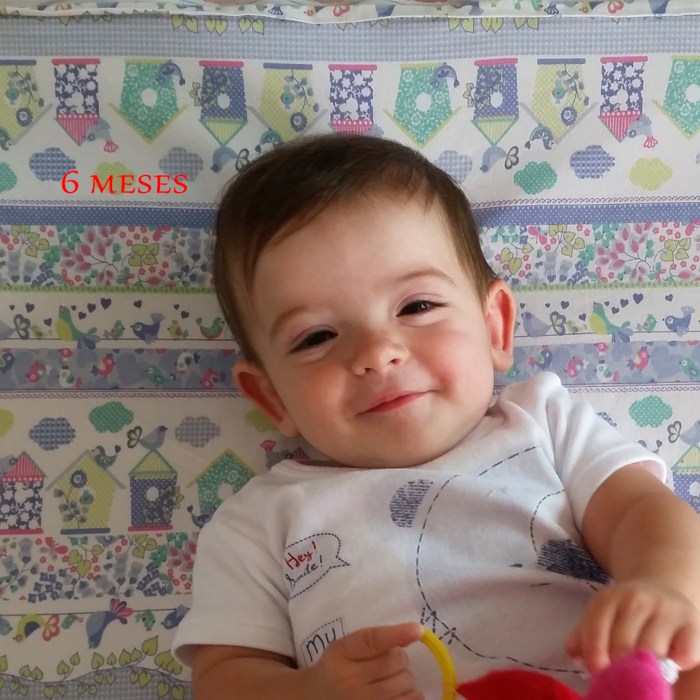 6-meses-2
